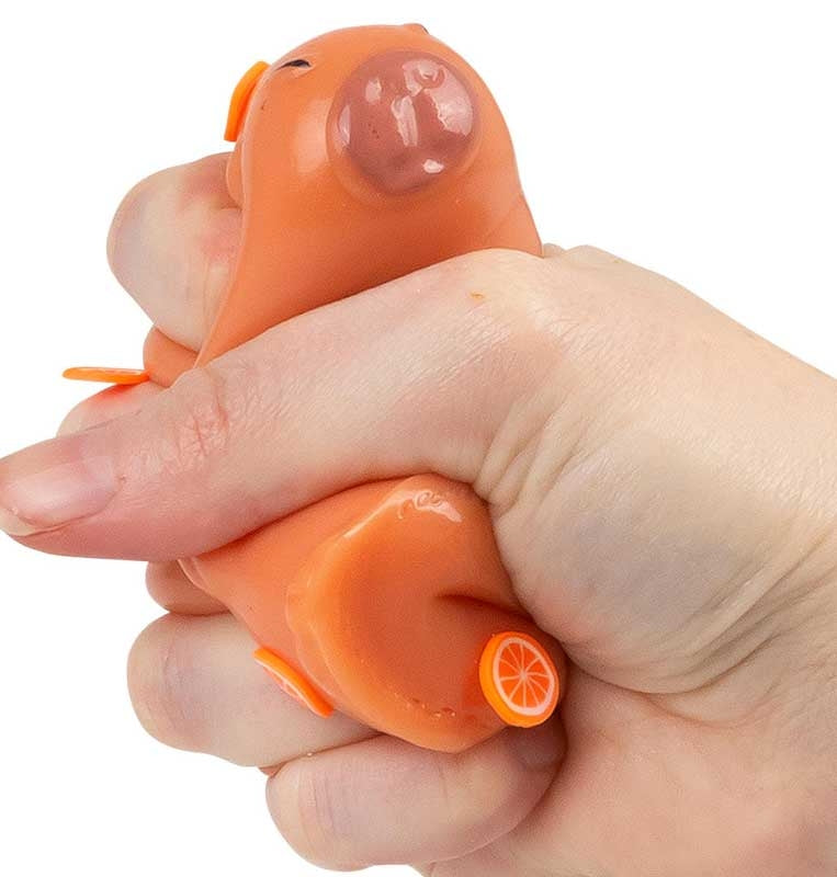 Squishy capybara